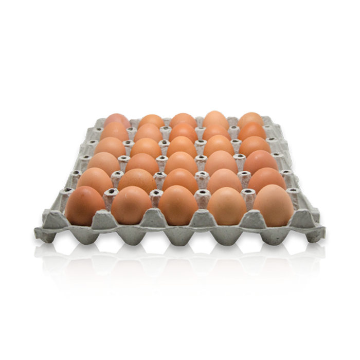 ไข่ไก่เบอร์ 0