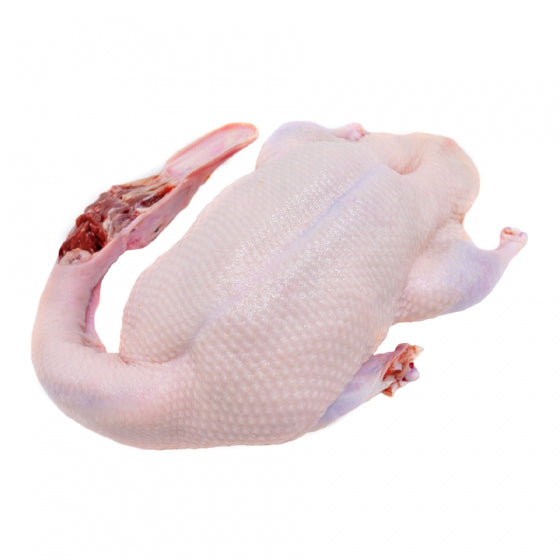 เป็ดสดอนามัย