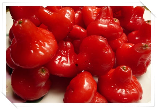 ชมพู่เล็ก