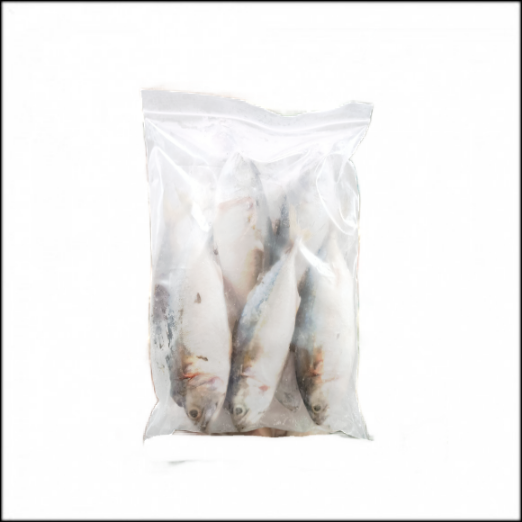 ปลาทูสด