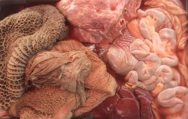 เครื่องในรวมวัว