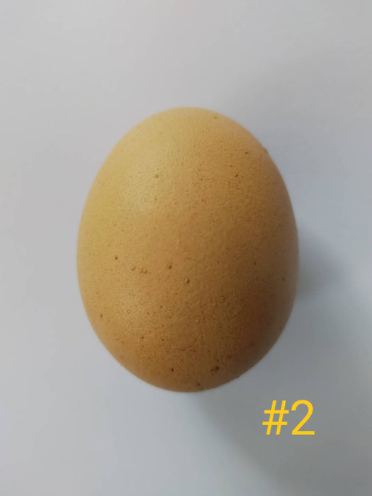 ไข่ไก่ เบอร์ 2