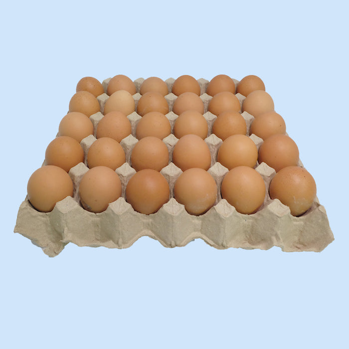 ไข่ไก่ เบอร์ 3
