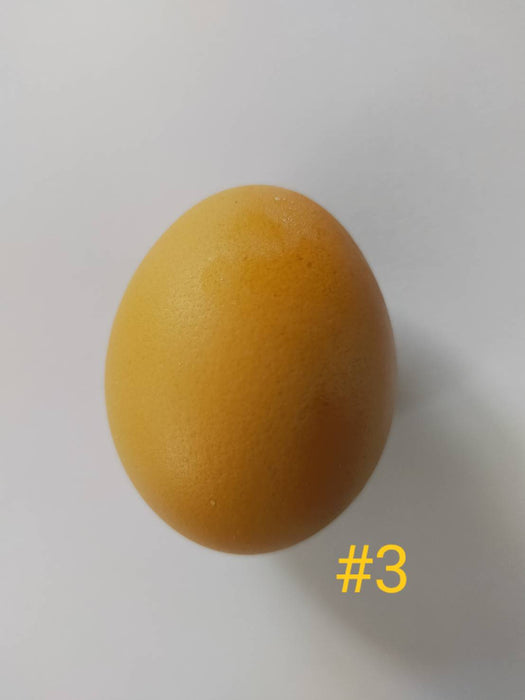 ไข่ไก่ เบอร์ 3