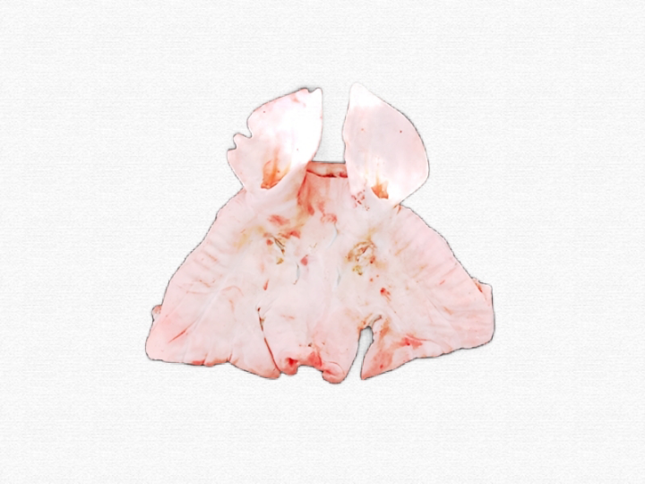 หน้ากากหมู