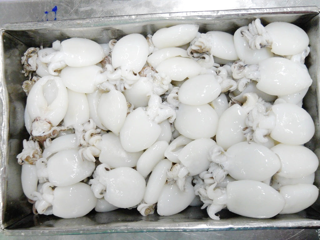 น้องสมาร์ทกุ้งสด