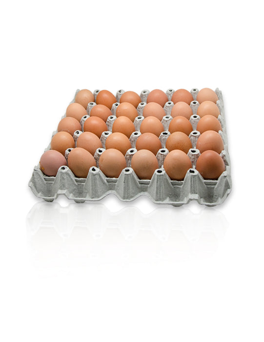 ไข่ไก่สด เบอร์ 2 (30ฟอง)