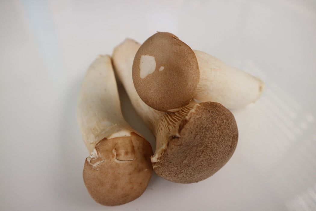 เห็ดออรินจิ