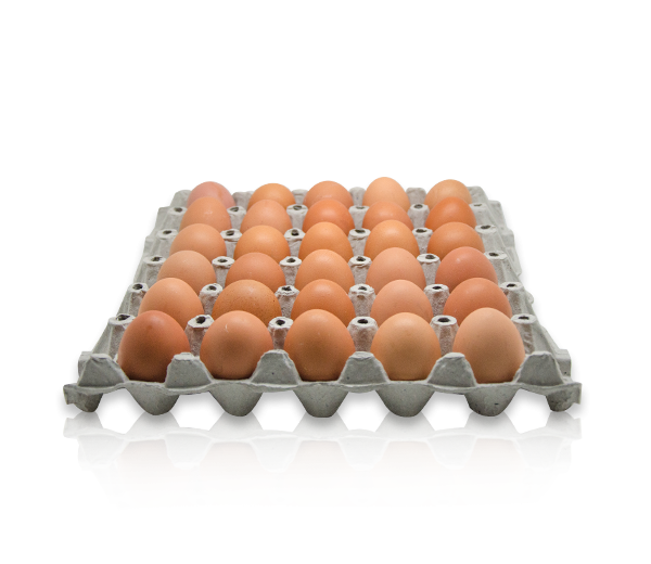 ไข่ไก่ เบอร์ 0