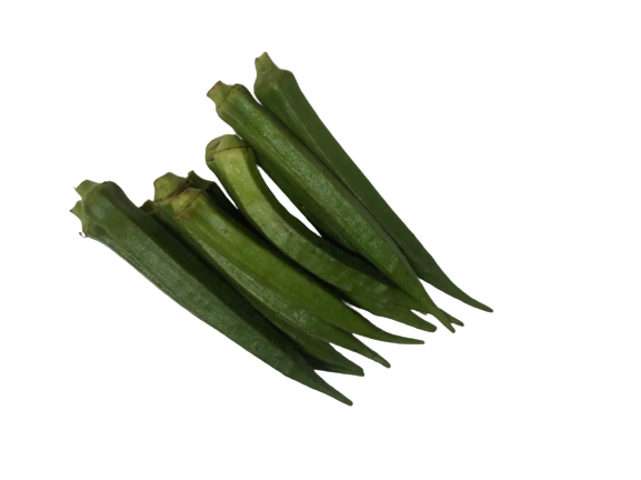 กระเจี๊ยบเขียว