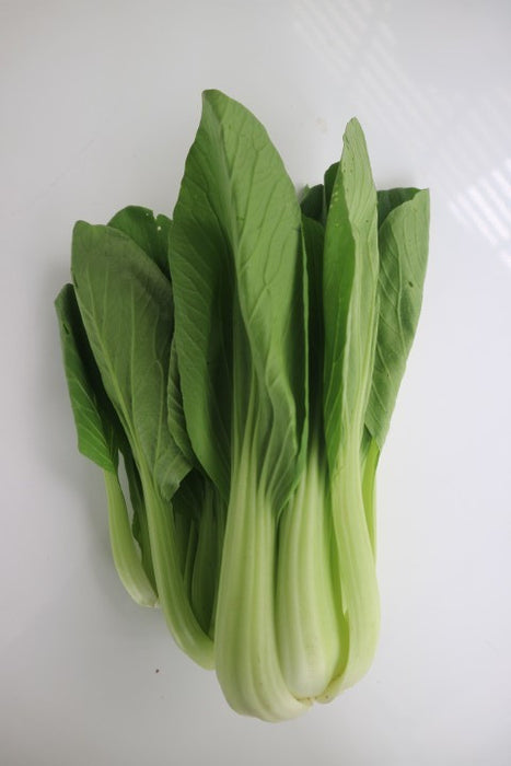 กวางตุ้งไต้หวัน