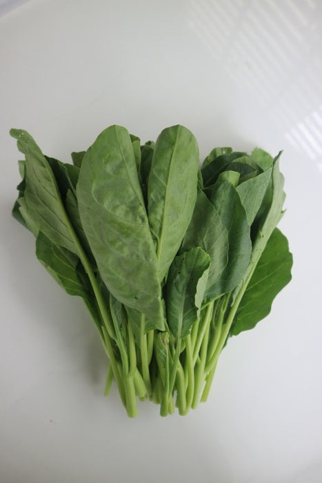 ยอดคะน้า