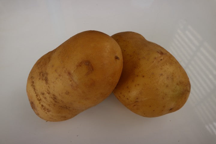 มันฝรั่ง