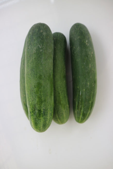 แตงล้าน