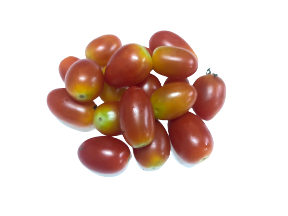 มะเขือราชินี