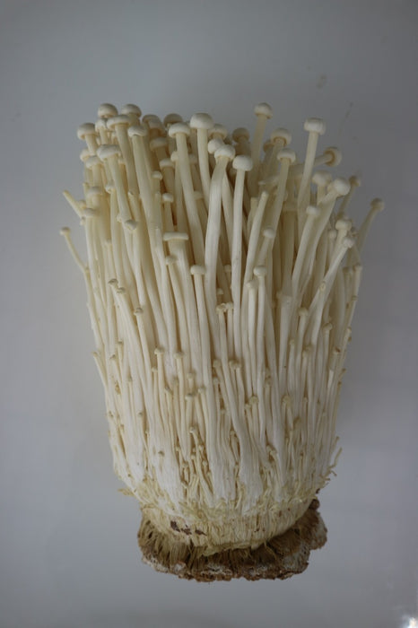 เห็ดเข็มทอง