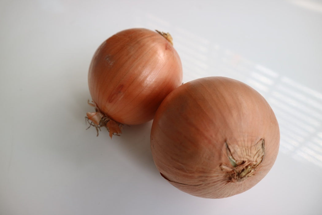 หัวหอมใหญ่